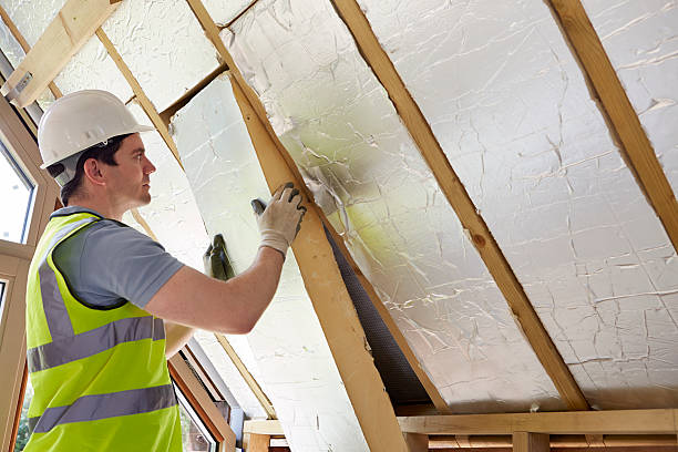 Best Cellulose Insulation in Cokato, MN